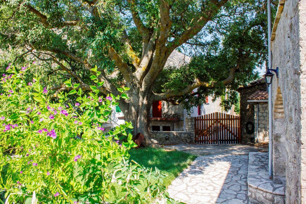 Menelia Cottage Platístoma Rum bild